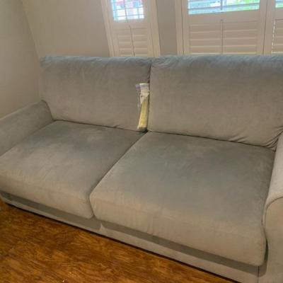 Sleeper/sofa, perfect for condo or apartment.  In mint condition
