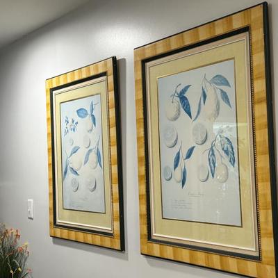 Pair of citrus prints with bold contemporary frame. Measure 40”x 33”
