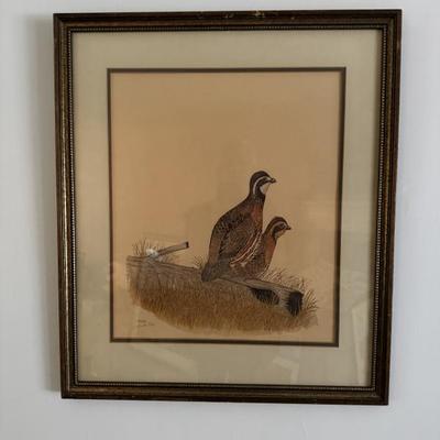 Vintage signed and numbered quail print by J. Burton. # 64/1000