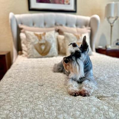 EmmyLou is not for sale, but she thinks everything is beautiful 