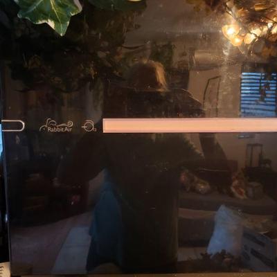 Rabbit 2 Air Purifyer