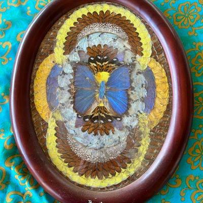 TTT140- Butterfly Wing Art