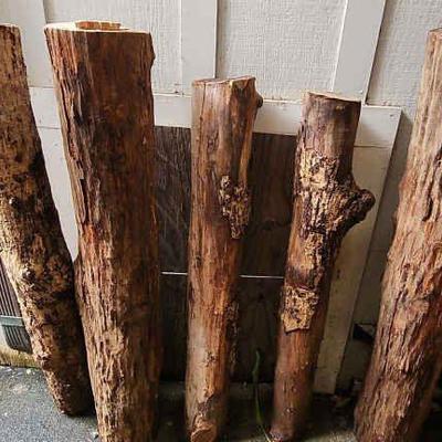 TTT600 - Hardwood Logs (5)