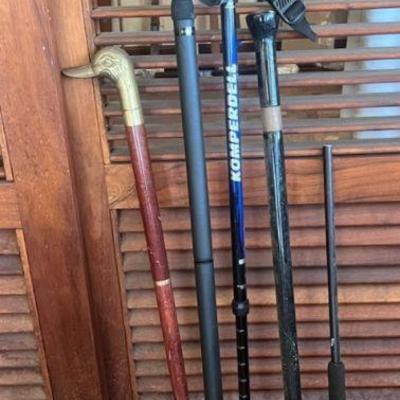 TTT490- Various Canes 