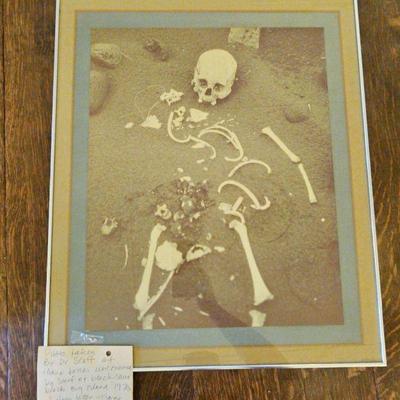 TTT336-Original Photo Taken By Dr. Jack Shaff Of Skeletal Remains