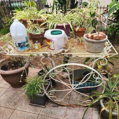 TTT337 Mystery Garden Lot