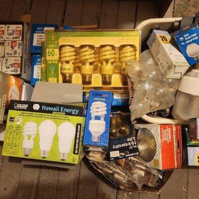 TTT436 Mystery Lot Of Bulbs