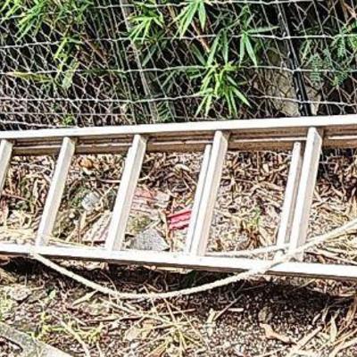 TTT577 - 24' Extension Ladder 
