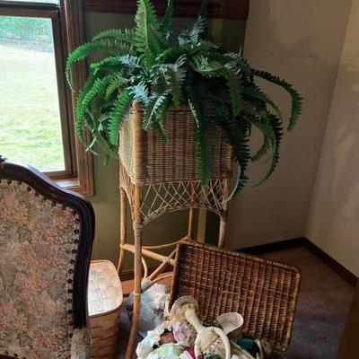 Plants
