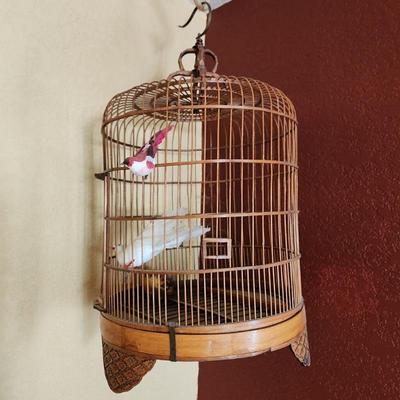 Bird cage 