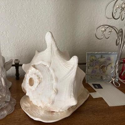 shells