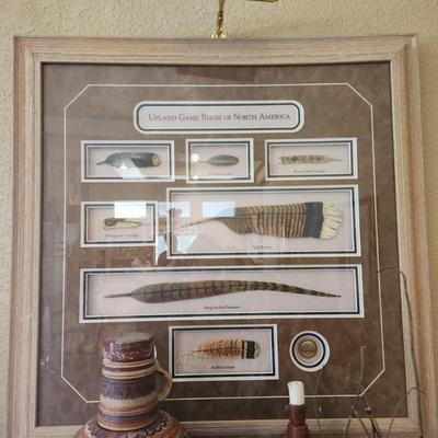 souvenir feather display