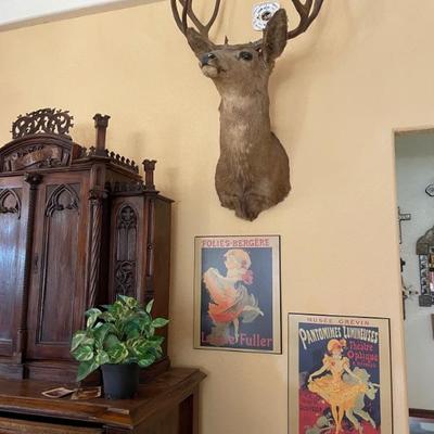 taxidermy