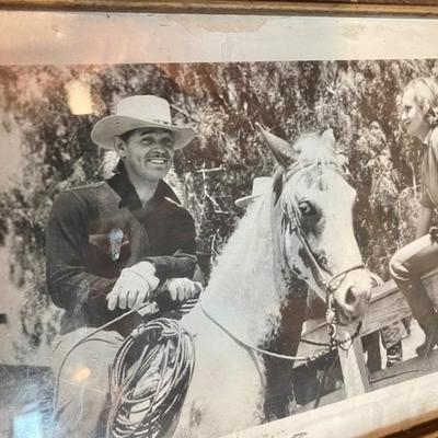 Cowboy western photos