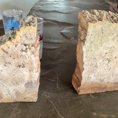 Petrified rock book ends