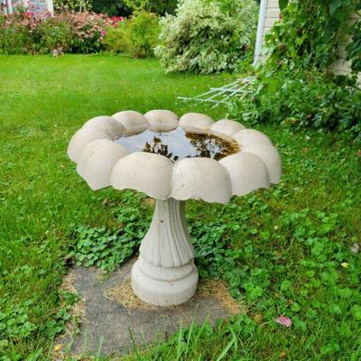 bird bath #1