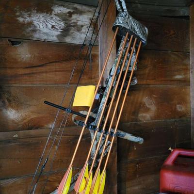 Compound Bow