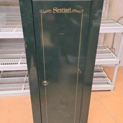 #1390 • Sentinel Safe
