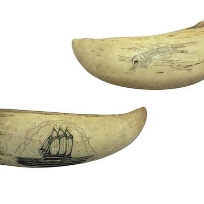 2 ANTIQUE AMERICAN SCRIMSHAW WHALE TEETH