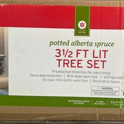 Potted Alberta Spruce 3.5 Foot Lit Tree Set In Box