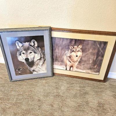  Set of Two Enlarged Photos of Wolves in the Wilderness - Matted and Framed - Wall Art