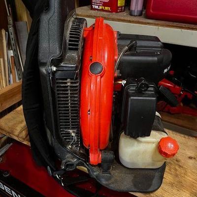 Leaf Blower Backpack
