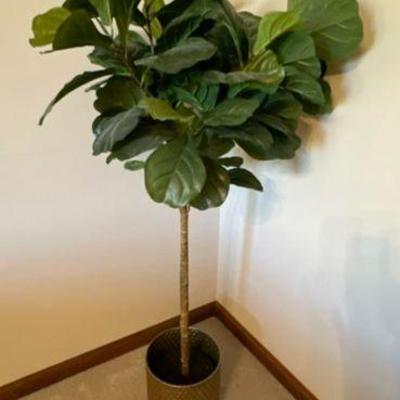 Artifical Plant   $15