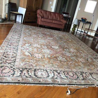 Hand Knotted 10' x14'  Wool Area Rug by SAFAVIEH
