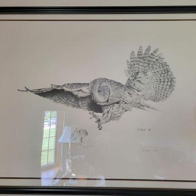 Owl Print