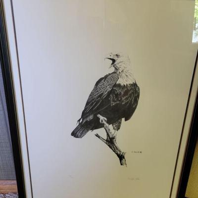 Eagle Print 