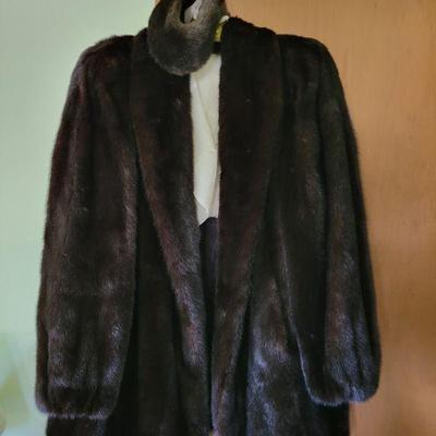 Nice fur