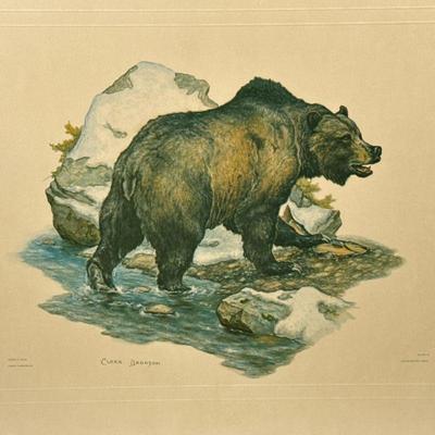 CLARK BRONSON GRIZZLY BEAR LITHOGRAPH | Framed color lithograph of a grizzly bear by Clark Bronson. - l. 17.25 x w. 14.25 in

