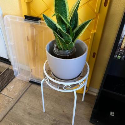 Plant stand