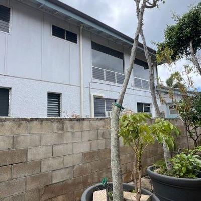 KFT104- Large Potted Tree