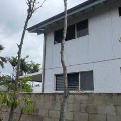 KFT105- Large Potted Tree