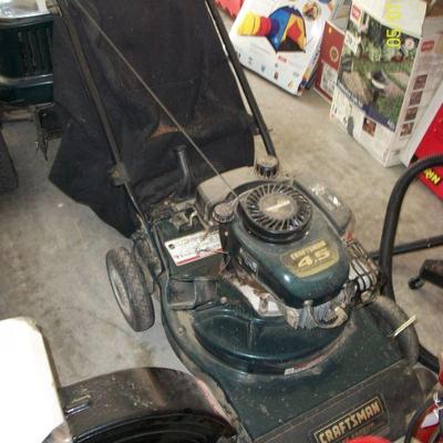 Yard Vacum