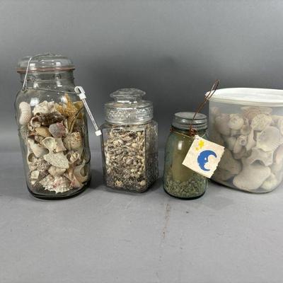 Lot 260 | Vtg Sea Shells & More
