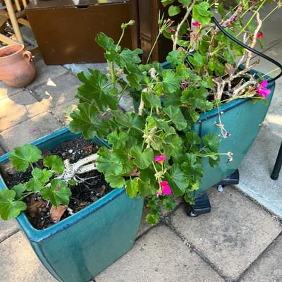 4 MATCHING POTS