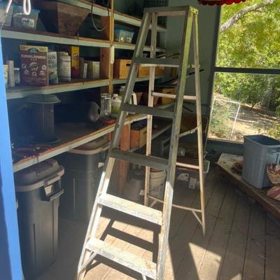 INSIDE OF POTTING SHED