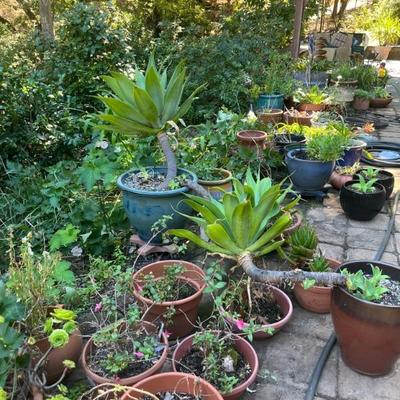 OUTDOOR PARADISE