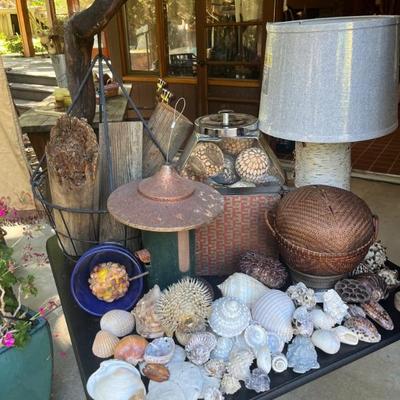 SHELL COLLECTION