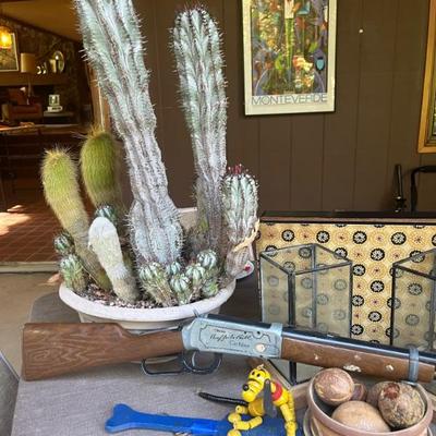CACTUS- BEE BEE GUN
