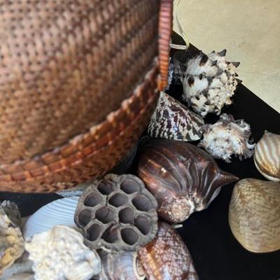 SHELLS
