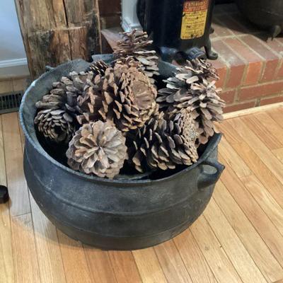 Decorative Pinecones