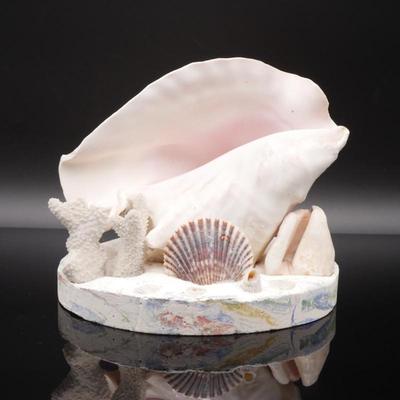 Conch Shell & Coral Decorative Piece