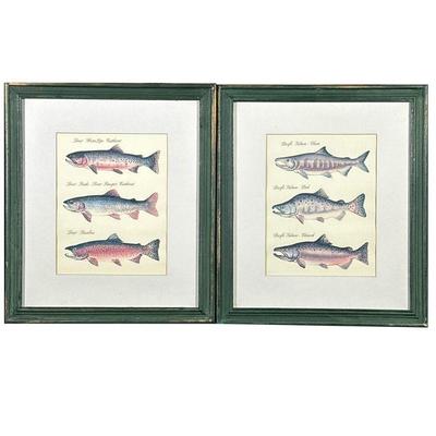 (2pc) Pair Fish Prints | One illustrating salmon, the other with trout, in matching green painted frames; sight 10.5 x 8 in. - w. 15.75 x...