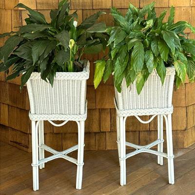 (2pc) Pair Wicker Plant Stands | Two white-painted wicker outdoor plant holders with x-form stretchers. - l. 14.5 x w. 14.5 x h. 29.25 in

