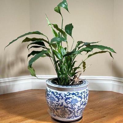 Chinese Blue & White Planter | With floral and vine pattern and a key border, accompanied by a live house plant. - h. 11 x dia. 13 in...