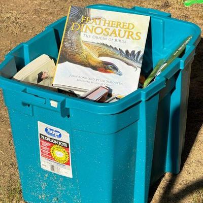 Tote Of Mystery Books Feat. Dinosaurs
