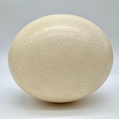 Large Blown Ostrich Egg
